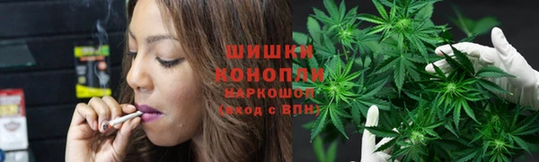 мдпв Богданович
