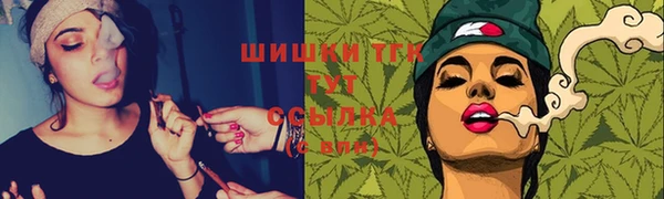 мдпв Богданович