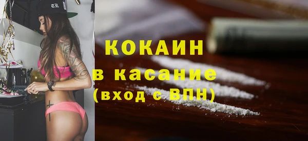 прущие грибы Пролетарск