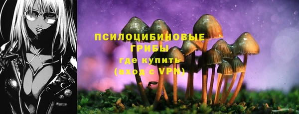 мдпв Богданович